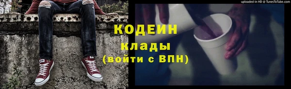 прущие грибы Заволжье