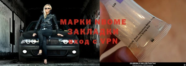 прущие грибы Заволжье