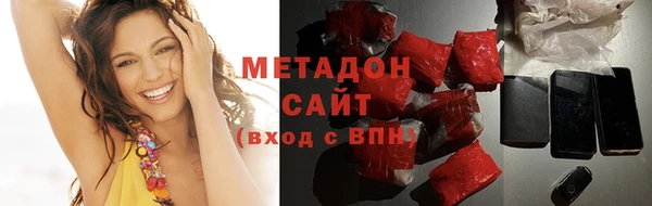 прущие грибы Заволжье