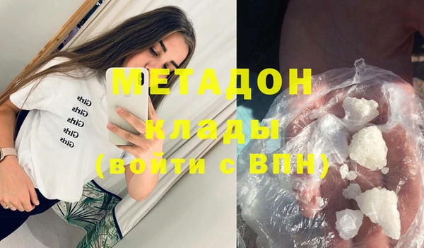 прущие грибы Заволжье