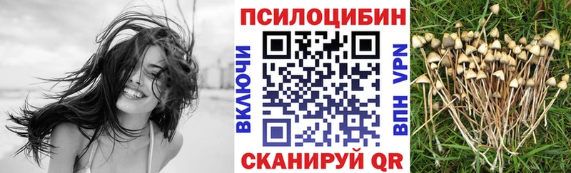 Купить где  Тетюши  Галлюциногенные грибы Psilocybine cubensis 